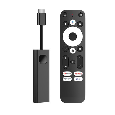 WG TV Stick 4K, EU - černá